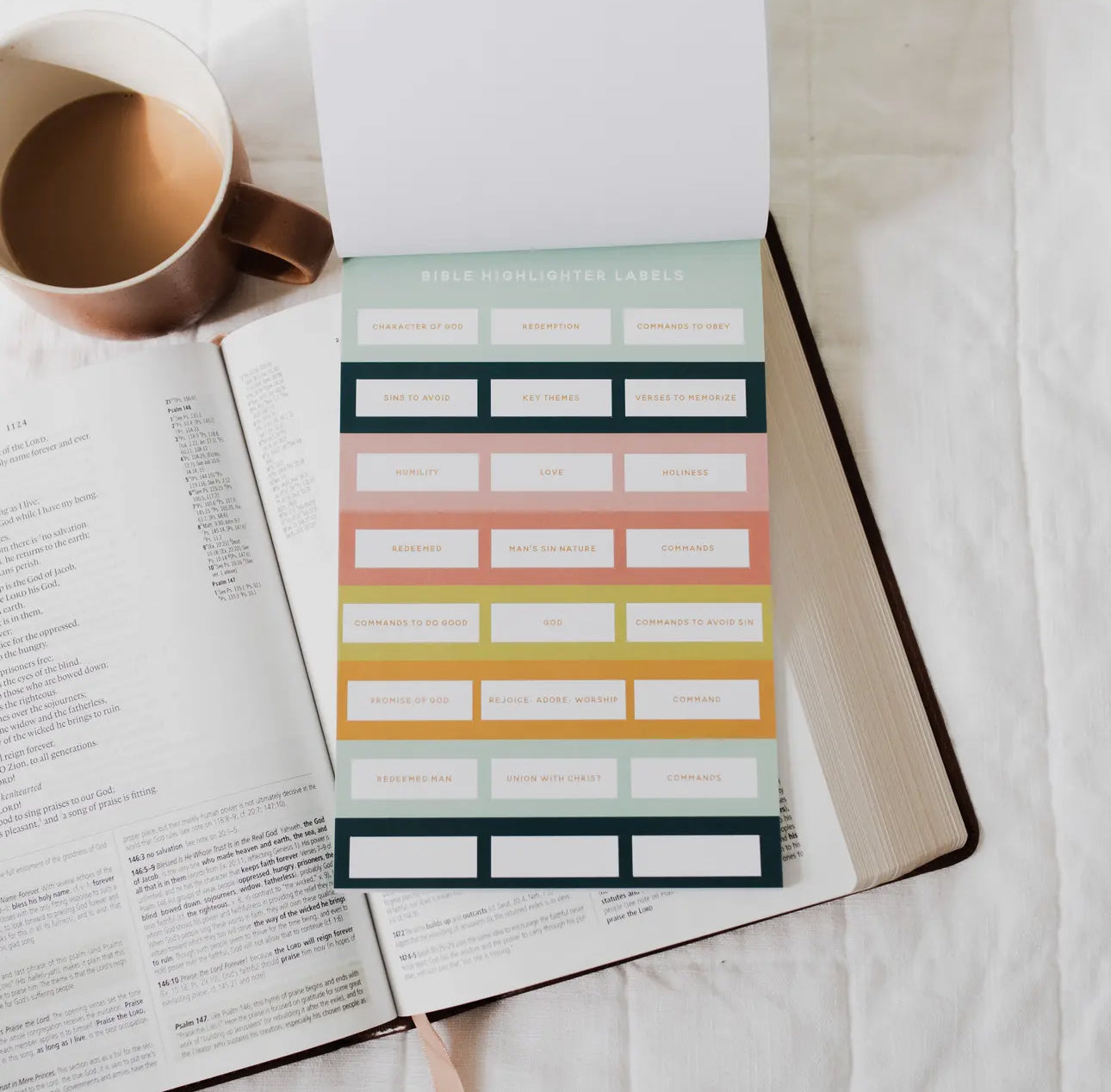 Bible Study Stickers | Strong in the Lord