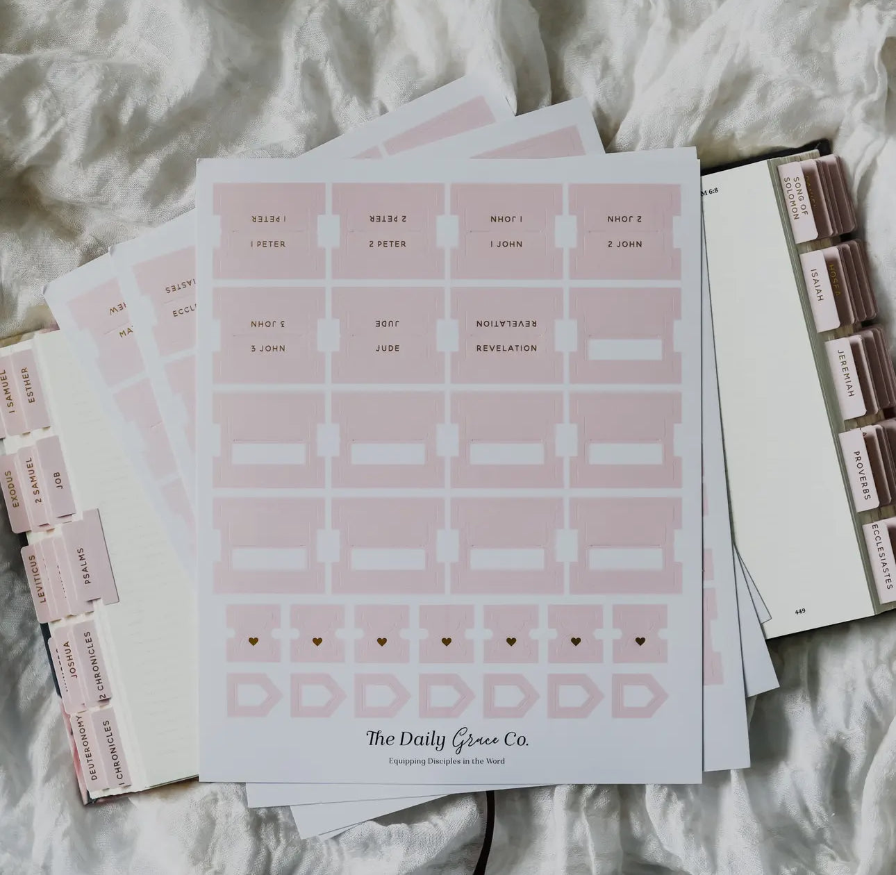 Blush Bible Tabs