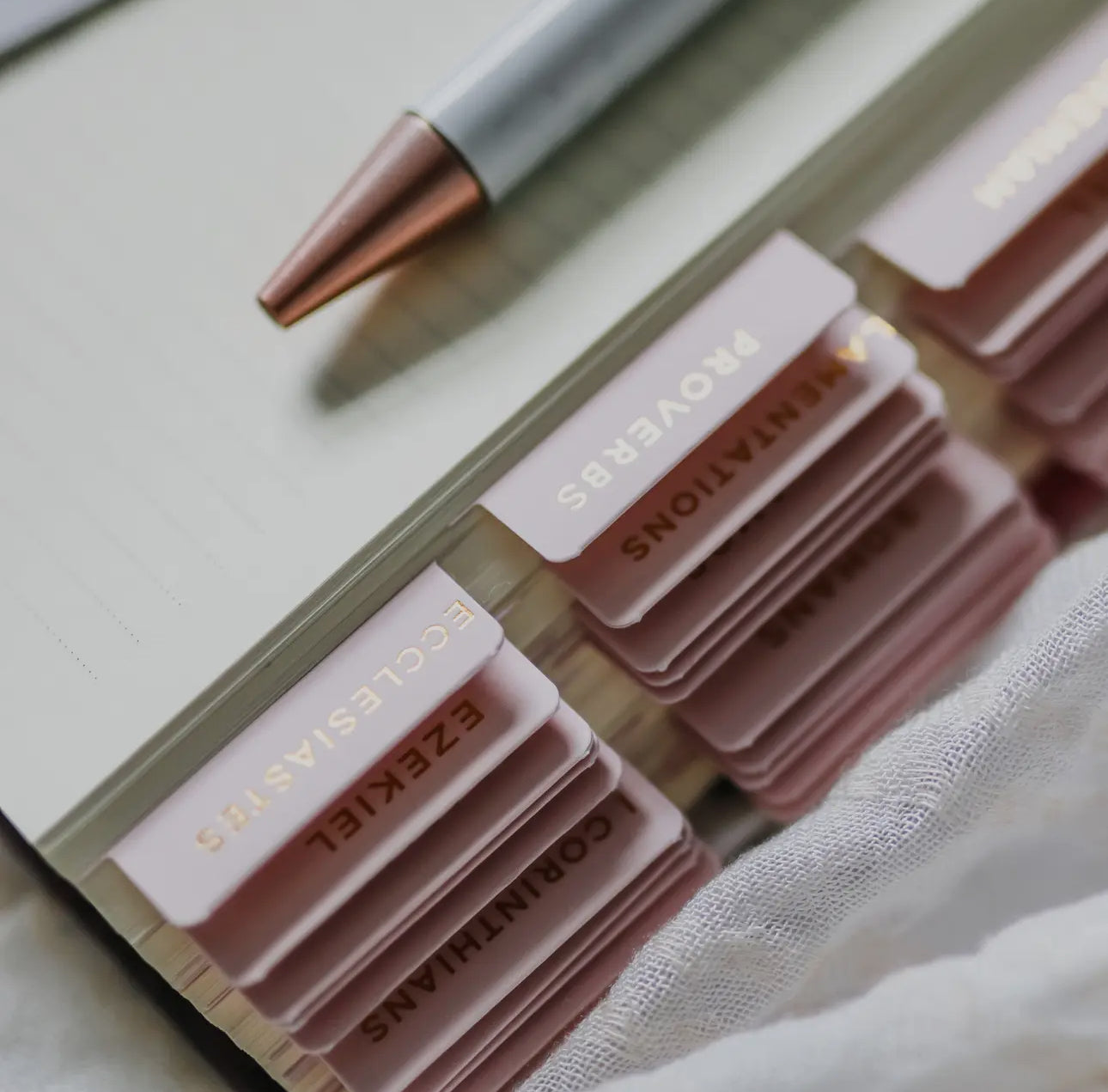 Blush Bible Tabs