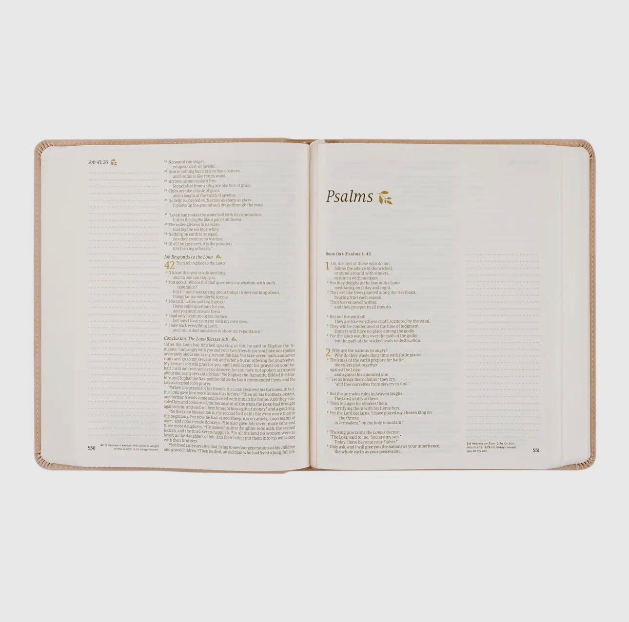 Nlt Notetaking Bible : Shiloh Theme