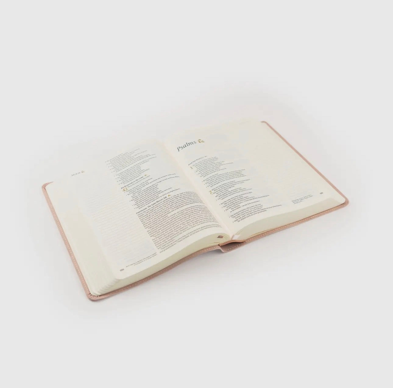 Nlt Notetaking Bible : Shiloh Theme