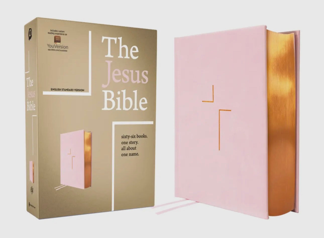 Esv the Jesus Bible Leathersoft Over Board Pink