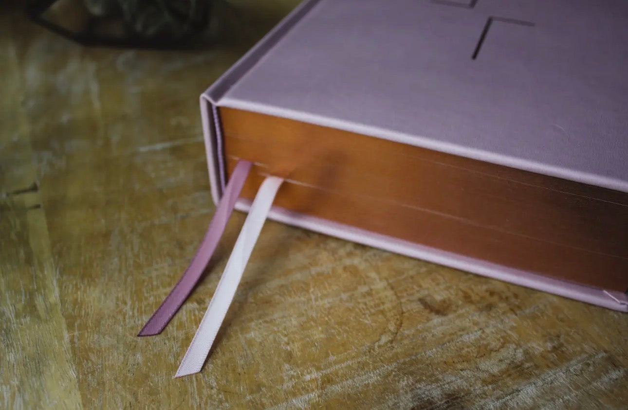Esv the Jesus Bible Leathersoft Over Board Pink