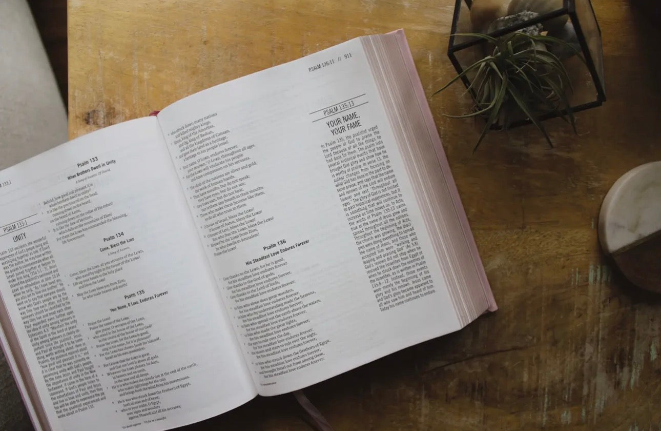 Esv the Jesus Bible Leathersoft Over Board Pink
