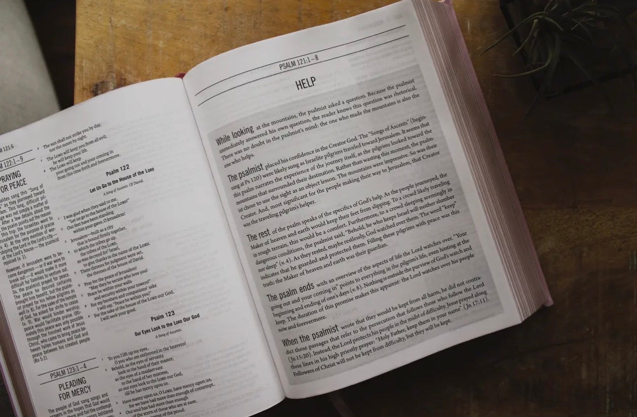Esv the Jesus Bible Leathersoft Over Board Pink