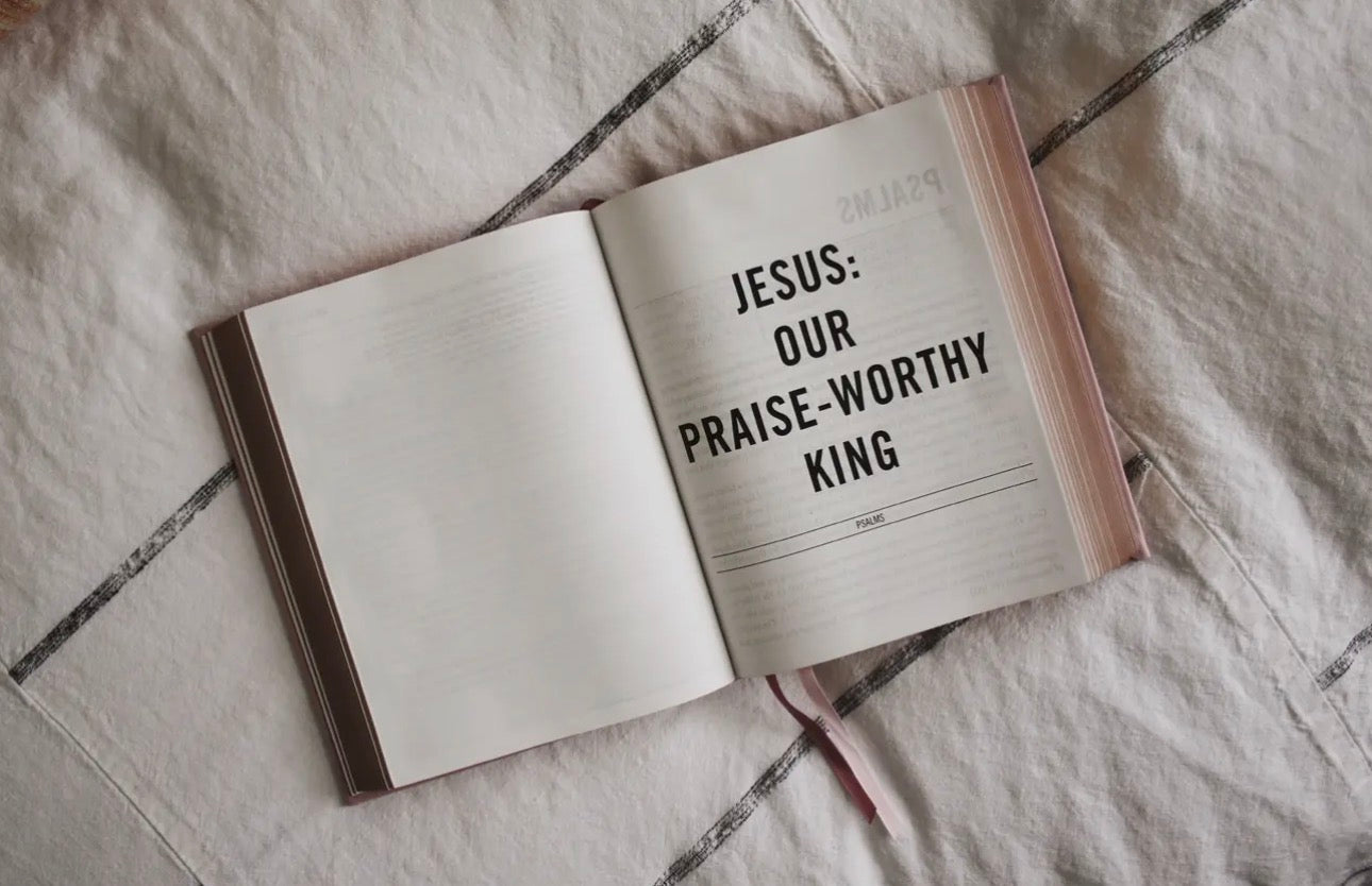 Esv the Jesus Bible Leathersoft Over Board Pink