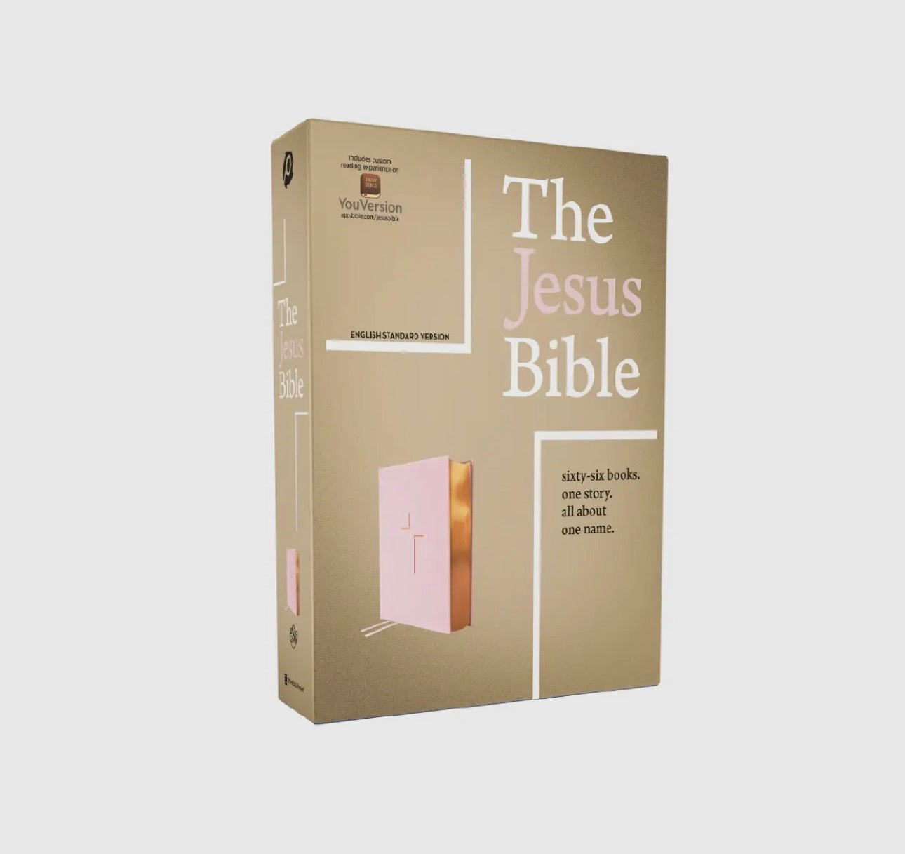 Esv the Jesus Bible Leathersoft Over Board Pink