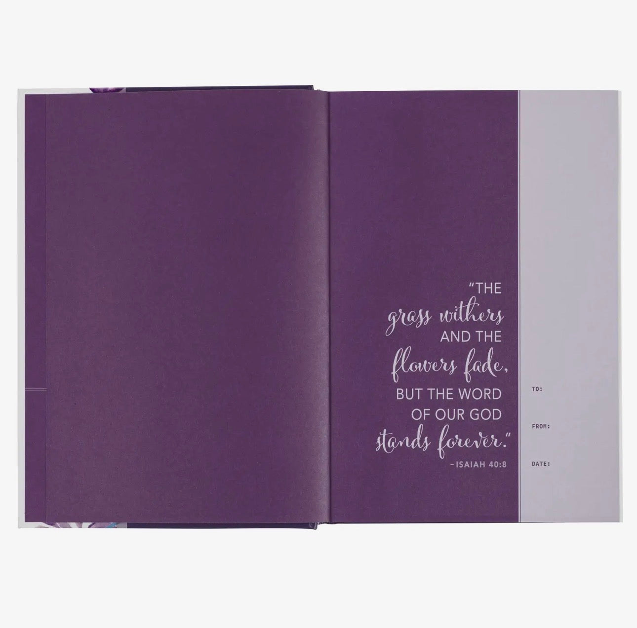 Devotional Bible Nlt For Women Hardcover, Purple