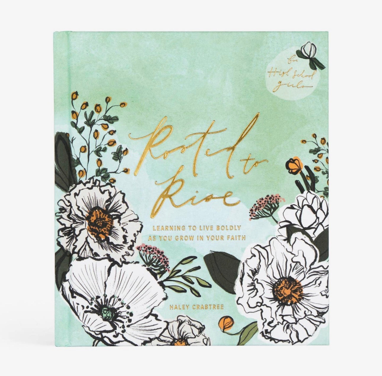 Bible Study: Rooted To Rise By Haley Crabtree