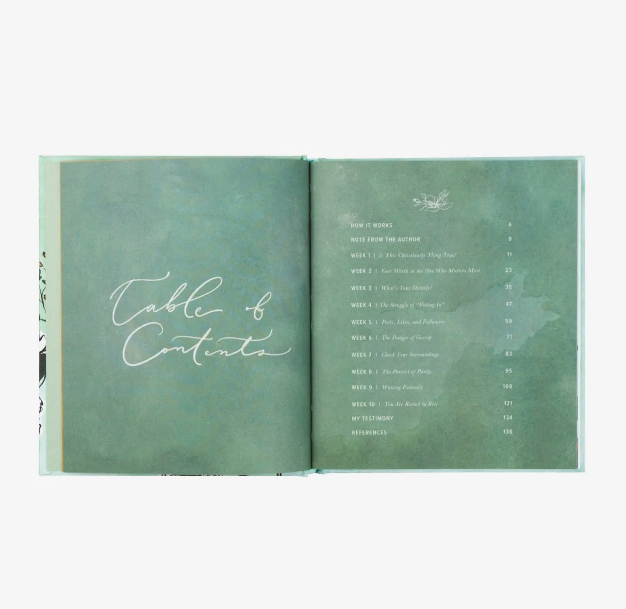 Bible Study: Rooted To Rise By Haley Crabtree
