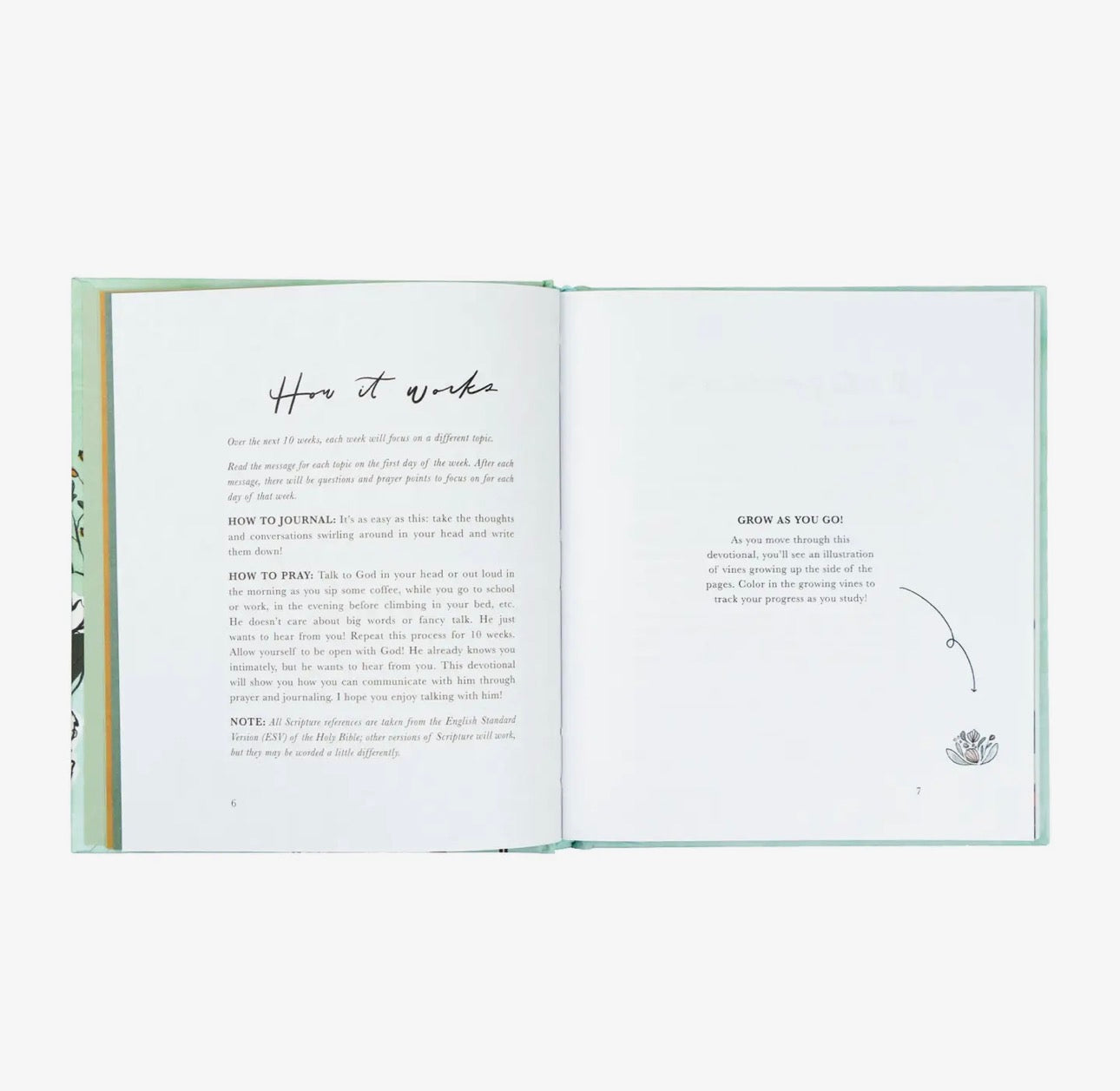 Bible Study: Rooted To Rise By Haley Crabtree