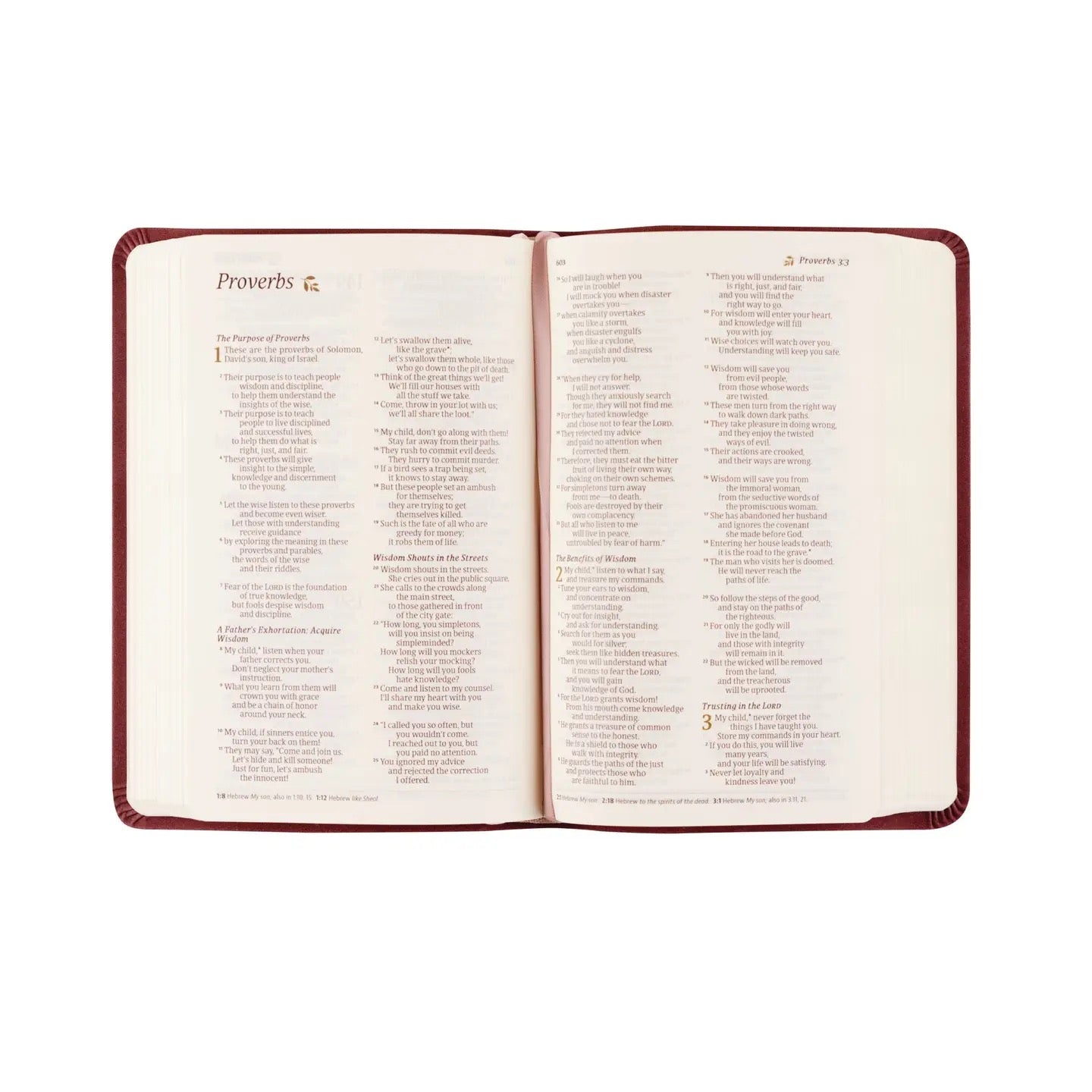 Nlt Compact Bible: Helena Theme
