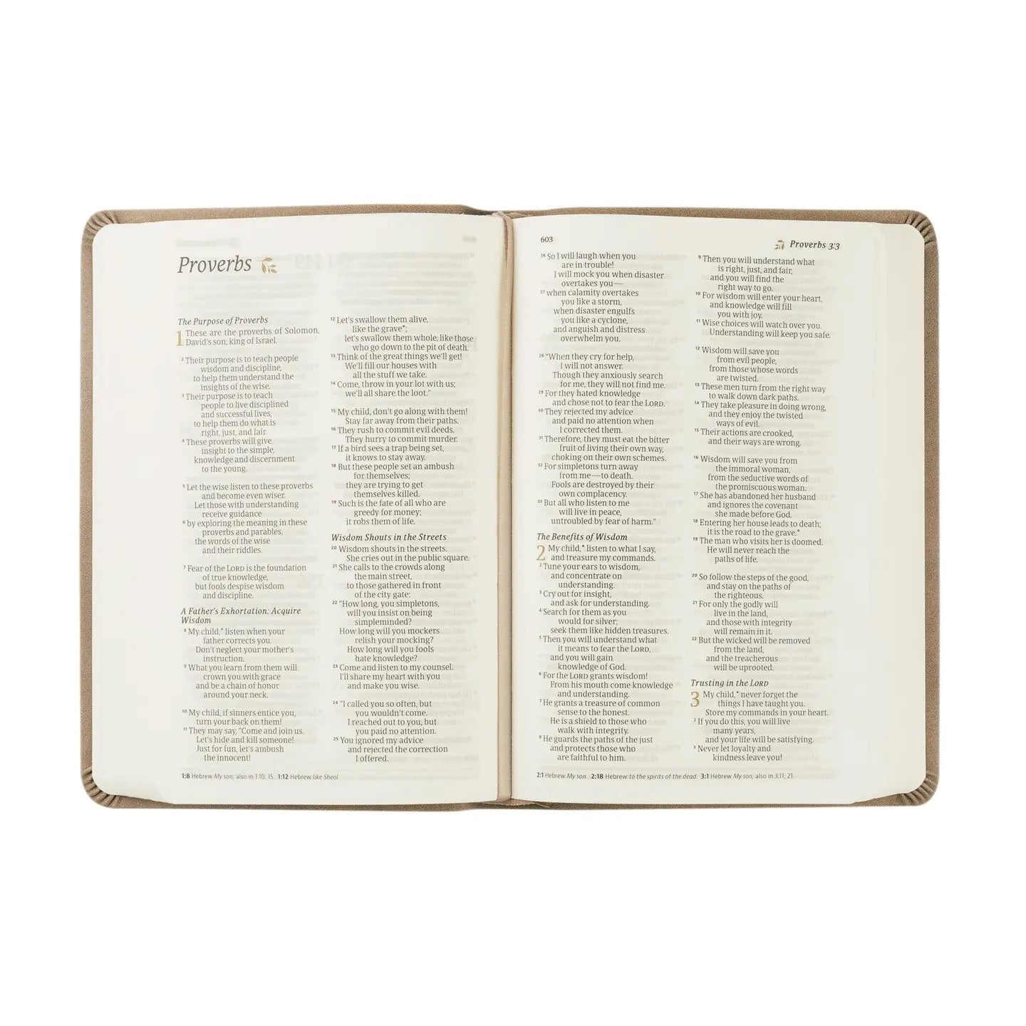 Nlt Compact Bible: Marlo Theme