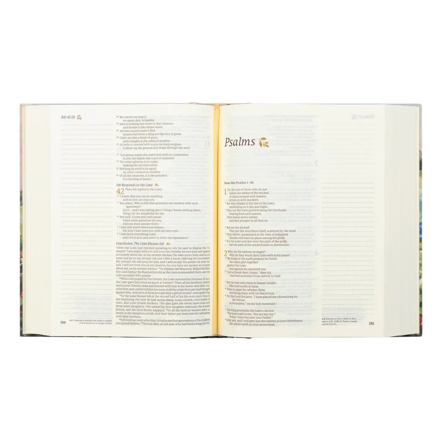 Nlt Notetaking Bible : Coram Theme