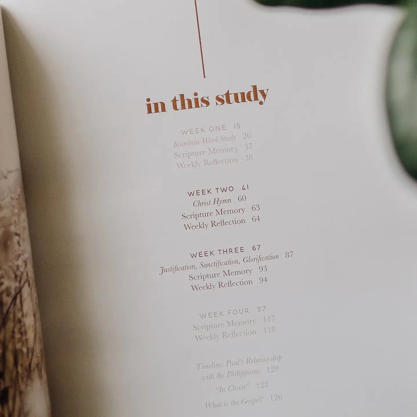 Fighting with Faith | Philippians Study